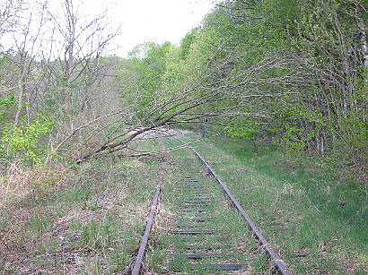 Bahnhof Dalheim